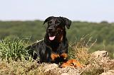 BEAUCERON 764